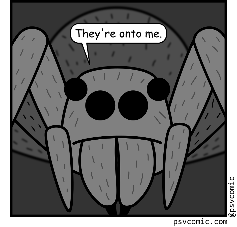Panel 4